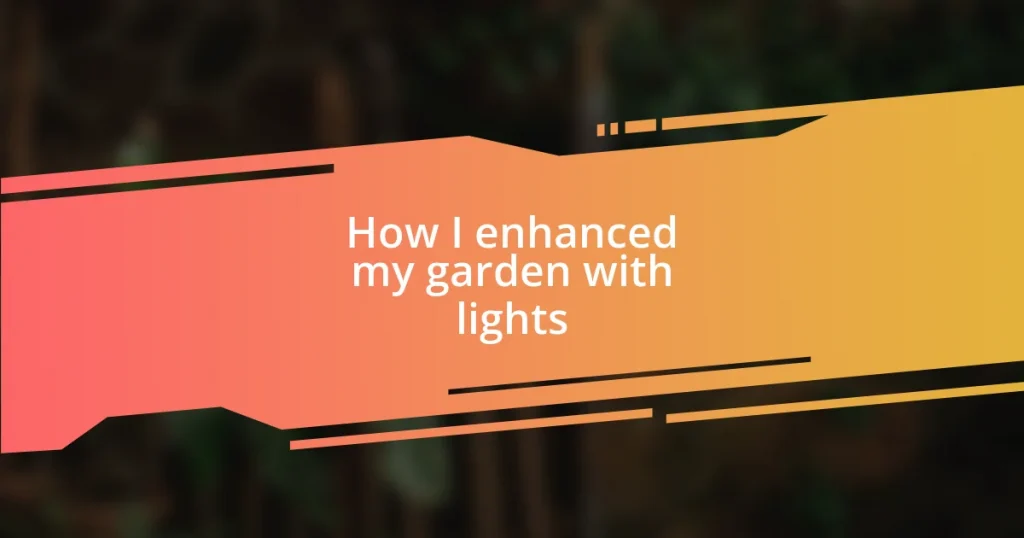 How I enhanced my garden with lights