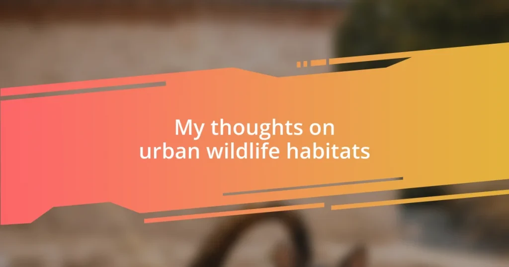 My thoughts on urban wildlife habitats