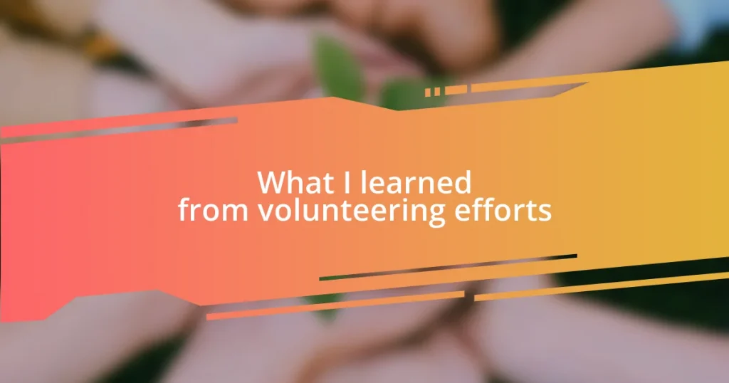 What I learned from volunteering efforts